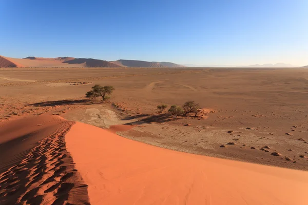 Footsteps on dune — Stock Photo, Image