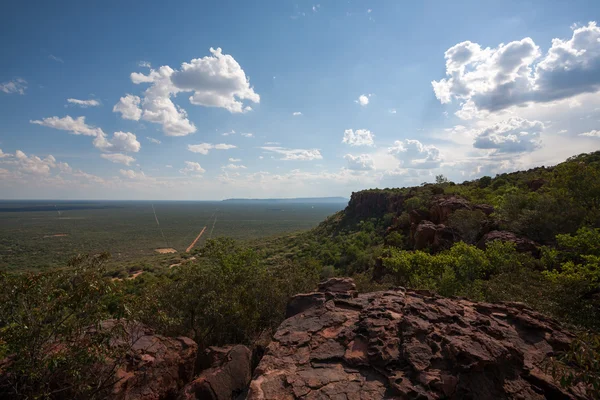 Plateau du Waterberg — Photo