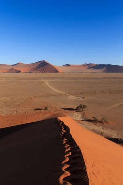 Pasos en la duna —  Fotos de Stock