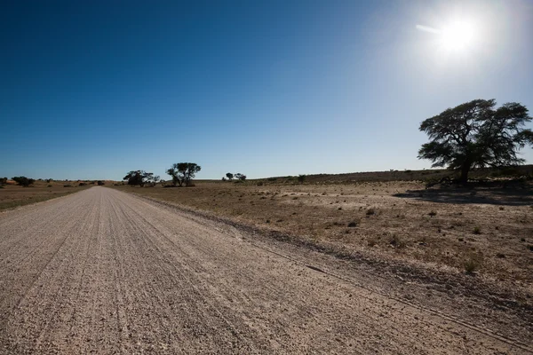 Road — Stock Photo, Image