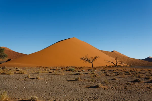 Sossusvlei sanddyner — Stockfoto