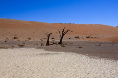 Ölüm ağacı gizli Vlei