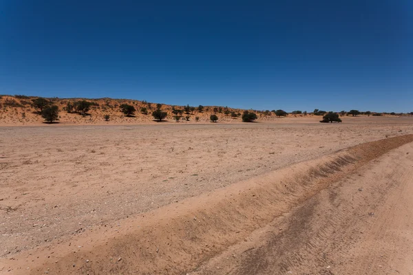 Kgalagadi — Foto de Stock