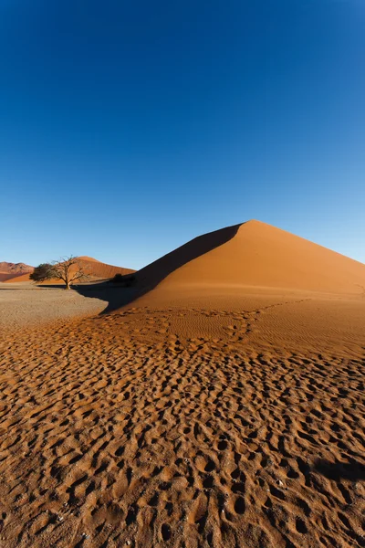 Sossusvlei wydmy — Zdjęcie stockowe