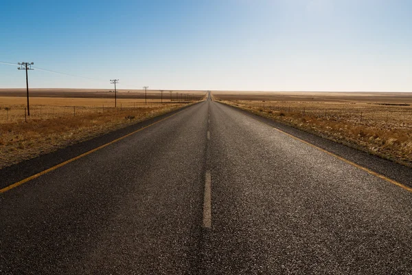 Güney Afrikalı yol