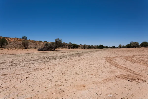 Kgalagadi — Stock Photo, Image