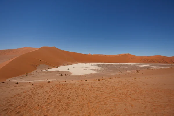 숨겨진 vlei — 스톡 사진