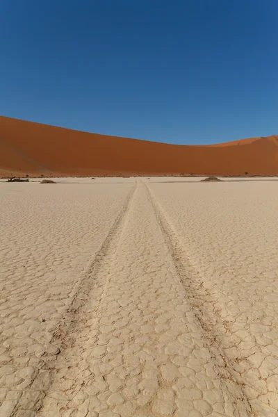 Track in the salt — Stock Photo, Image