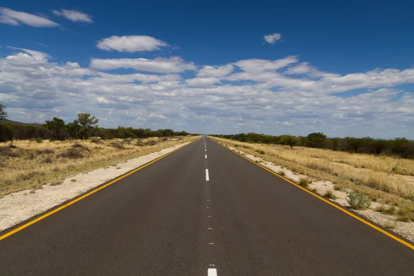 Namibian road — Stock Photo, Image