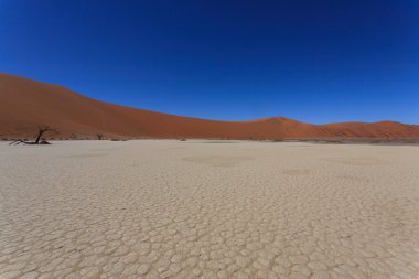 Ölüm ağacı gizli Vlei
