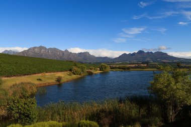 Stellenbosch  