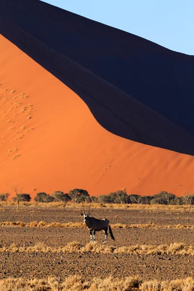 SOSSUSVLEI duinen — Stockfoto