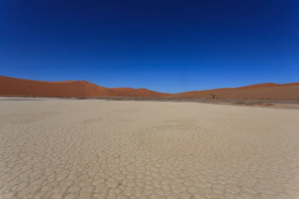 Skryté vlei — Stock fotografie