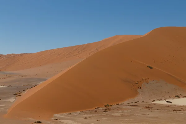 숨겨진 vlei — 스톡 사진