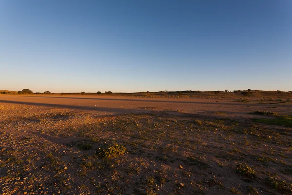 Kgalagadi — Zdjęcie stockowe