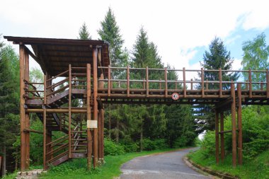 ahşap köprü