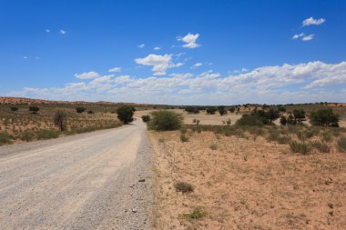 kgalagadi