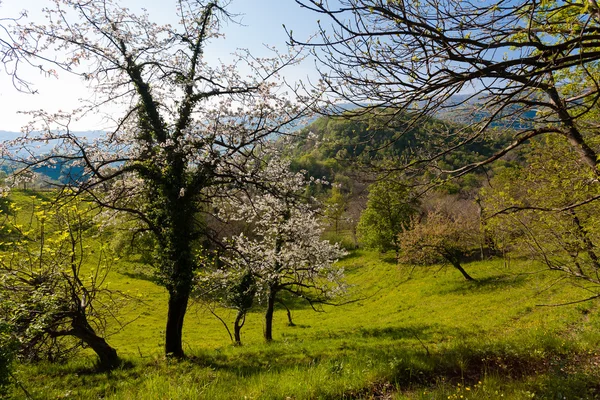 Panoramę wzgórz — Zdjęcie stockowe