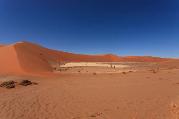 숨겨진 vlei — 스톡 사진