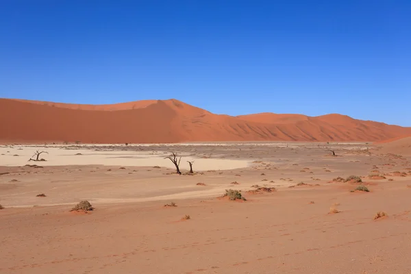 Hidden vlei — Zdjęcie stockowe