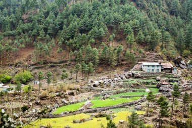 Everest ana kampı boyunca küçük köyler, Nepal manzarası