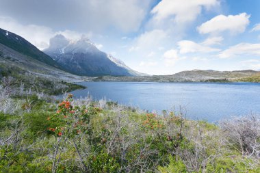 Pehoe Gölü manzaralı, Torres del Paine Ulusal Parkı, Şili. Şili Patagonya manzarası