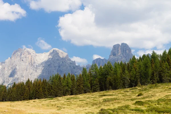 Красивая альпийская панорама — стоковое фото