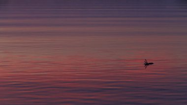 Su üzerinde yansımaları