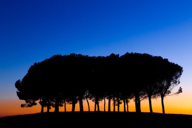 Gün batımında Hills panorama