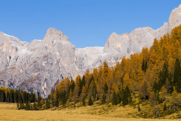 Panorama do outono dos Alpes Italianos — Fotografia de Stock