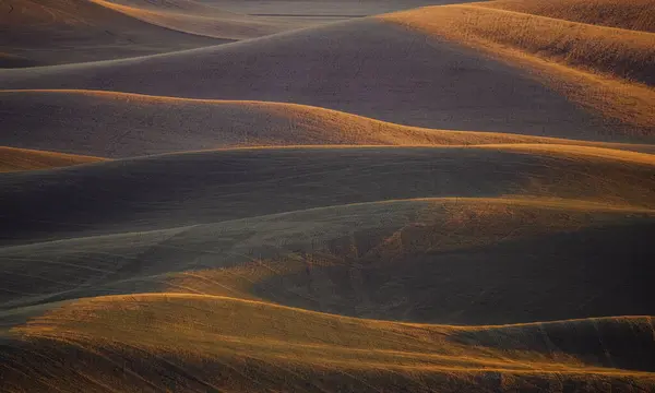 Seattle Skyline Siyah-Beyaz