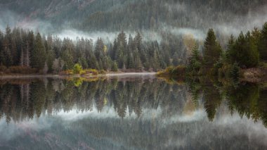 Gold Creek Pond 'dan yansıma manzarası - Hyak, Washington.