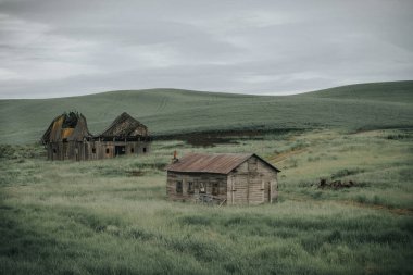 Whitman County, Washington 'dan terk edilmiş ahır manzarası