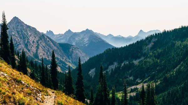 Seattle Skyline Siyah-Beyaz