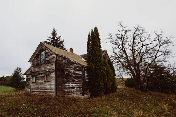 Seattle Skyline Siyah-Beyaz