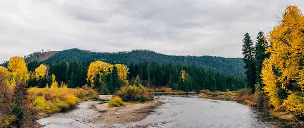 Seattle Skyline Siyah-Beyaz