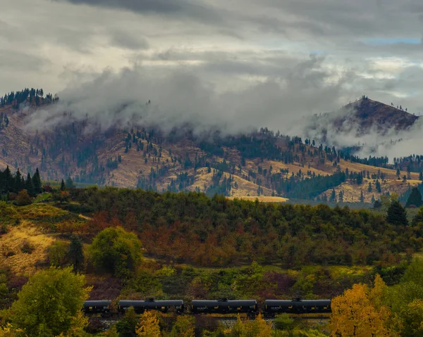 Seattle Skyline Siyah-Beyaz