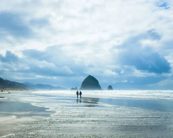Seattle Skyline Siyah-Beyaz
