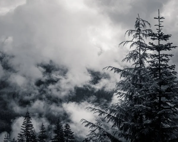 Seattle Skyline Siyah-Beyaz