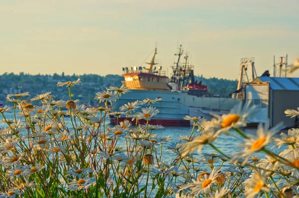 Seattle Skyline Siyah-Beyaz
