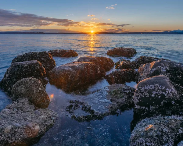Batı Seattle Sahili Kayalıklı Gün Batımı
