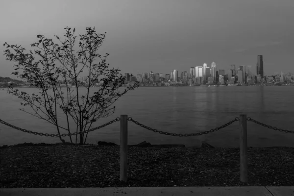 Mono 'da Seattle Skyline Şehir Alanı