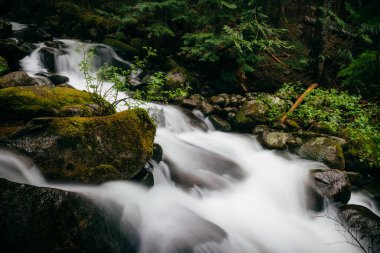 Talapus Creek Peyzajı - Merkezi Şelaleler, Washington.