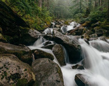 Talapus Creek Peyzajı - Merkezi Şelaleler, Washington.
