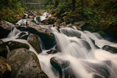 Talapus Creek Peyzajı - Merkezi Şelaleler, Washington.