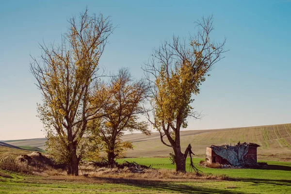Terk Edilmiş Ahır Manzarası - Endicot, Washington
