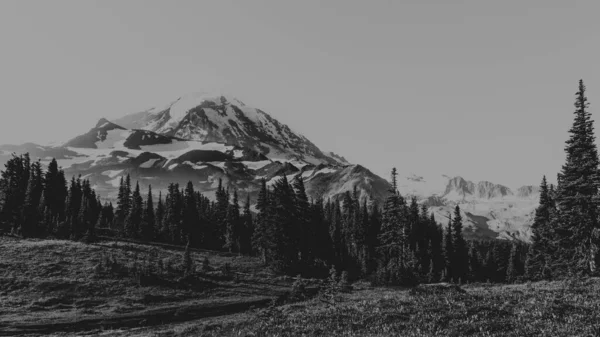 Mono Peyzajı - Mount Rainier, Washington.