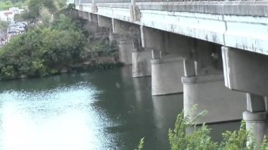 Yarasalar Austin, Texas Kongre Avenue Köprüsü altında