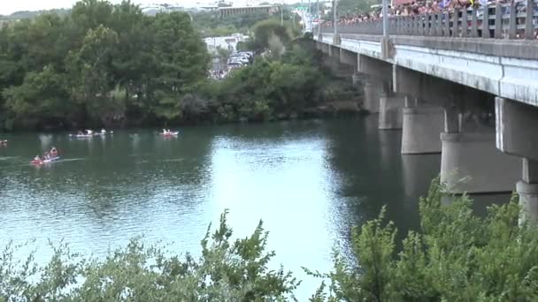 Murciélagos bajo el puente de la Avenida del Congreso en Austin, Texas — Vídeos de Stock