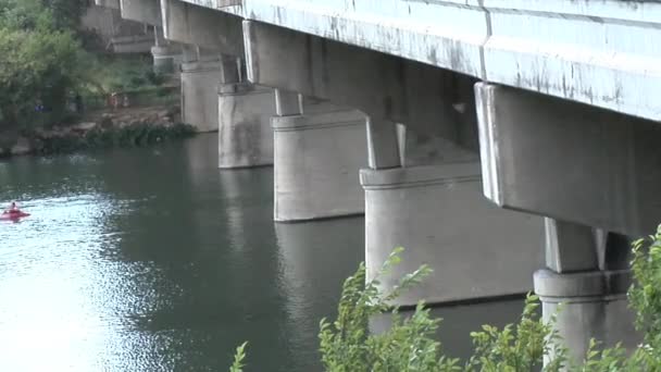 Fledermäuse unter der congress avenue bridge in austin, texas — Stockvideo